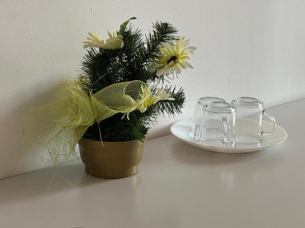 Ionia Apartment-Stary Rynek بوزنان المظهر الخارجي الصورة