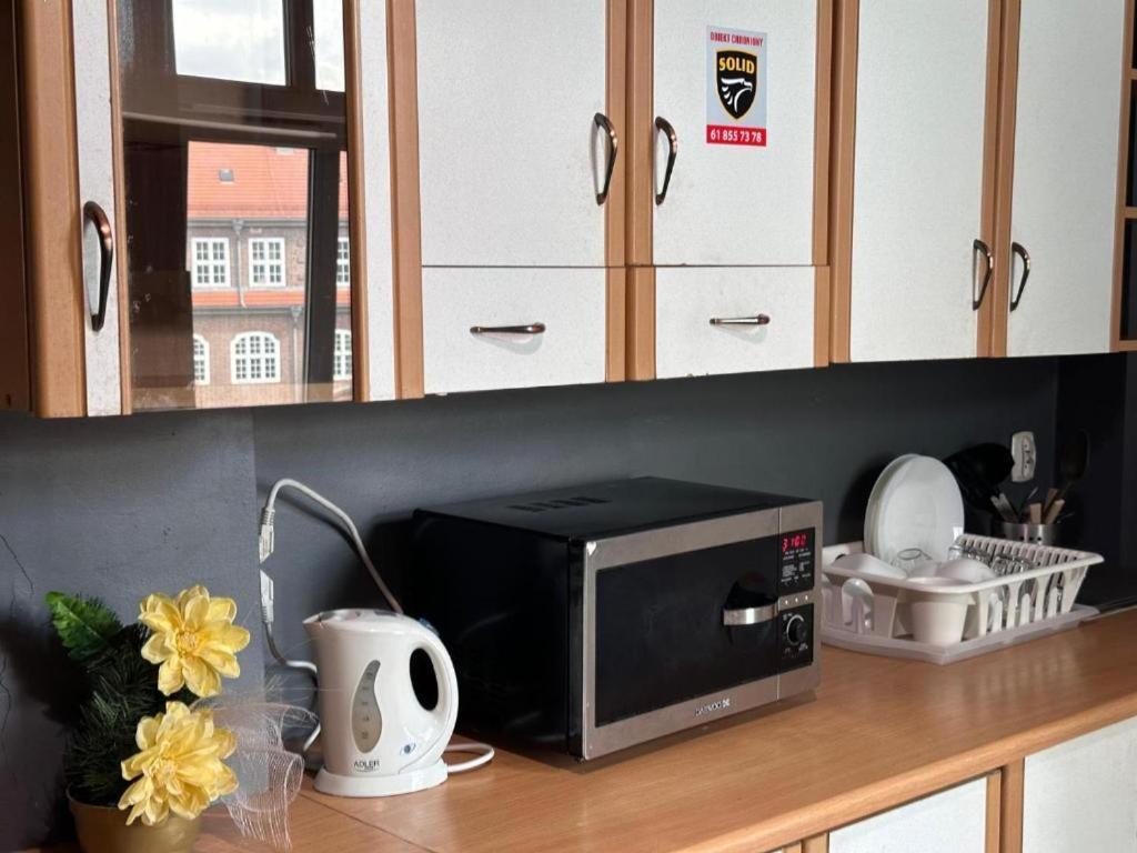 Ionia Apartment-Stary Rynek بوزنان المظهر الخارجي الصورة